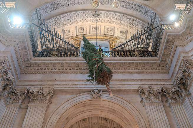 A christmas tree suspended from the gallery at St Paul's Cathedral as it is lifted into place