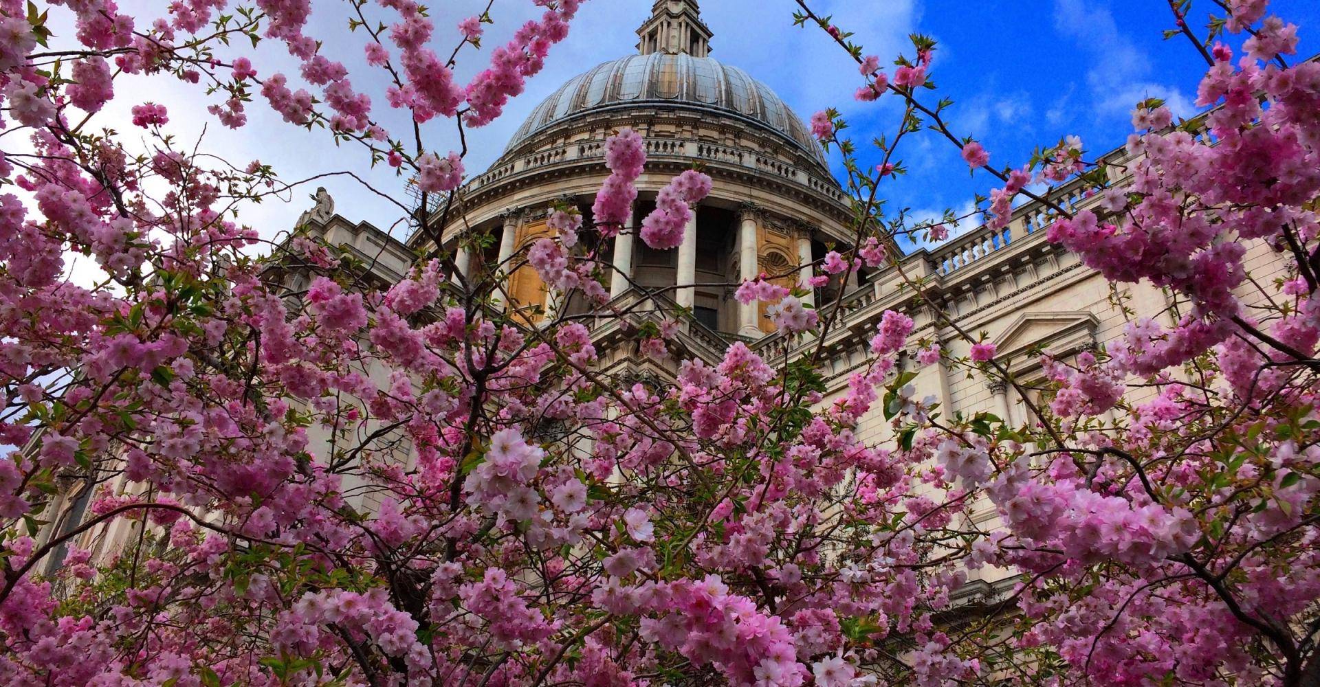 the dome in spring with flowers