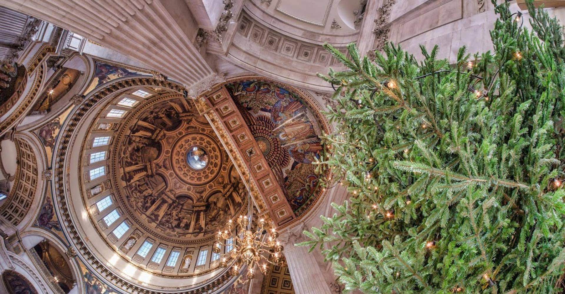 A view looking directly up at the Cathedral Dome with Christmas tree