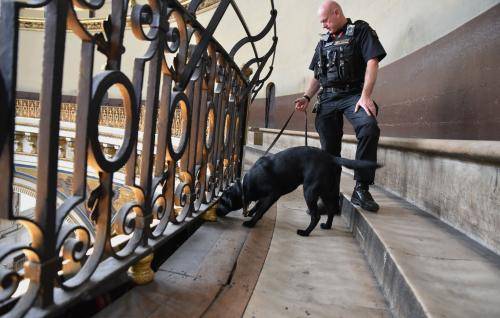 police guard dog security safety search