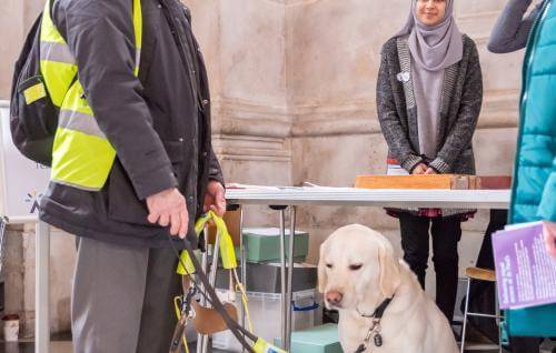 disabled access day guide dog