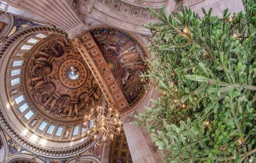 Looking up to the dome of St Paul's with the Christmas tree to one side