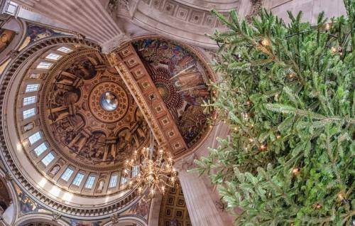 Looking up to the dome of St Paul's with the Christmas tree to one side