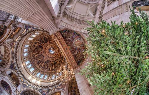 A view looking directly up at the Cathedral Dome with Christmas tree